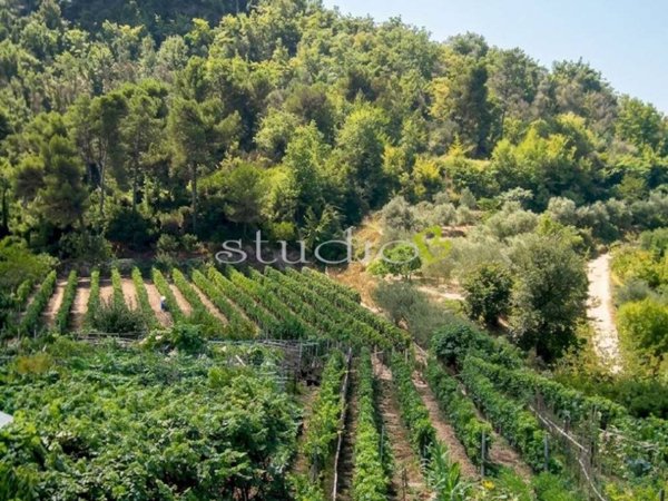 casa indipendente in vendita a San Biagio della Cima
