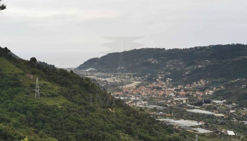 terreno agricolo in vendita a San Biagio della Cima