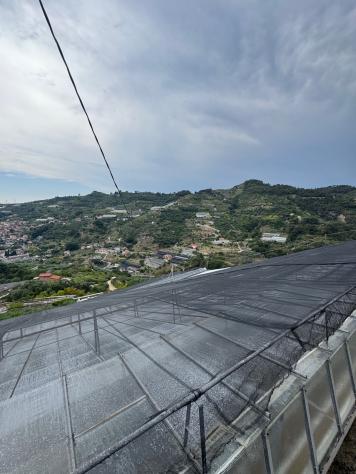 azienda agricola in vendita a San Biagio della Cima