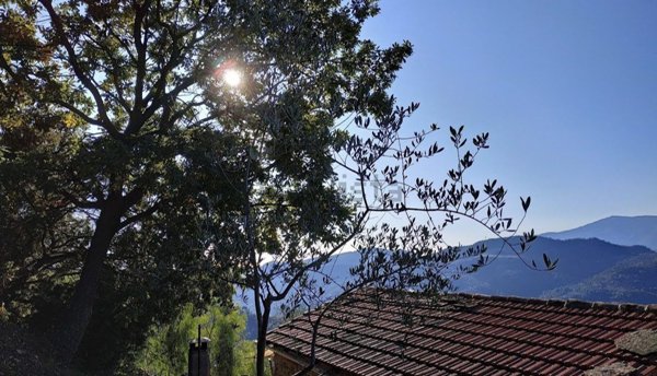 terreno in vendita a San Biagio della Cima