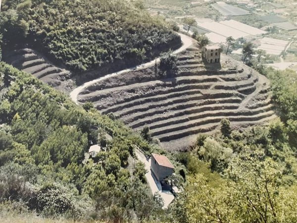 terreno in vendita a San Biagio della Cima