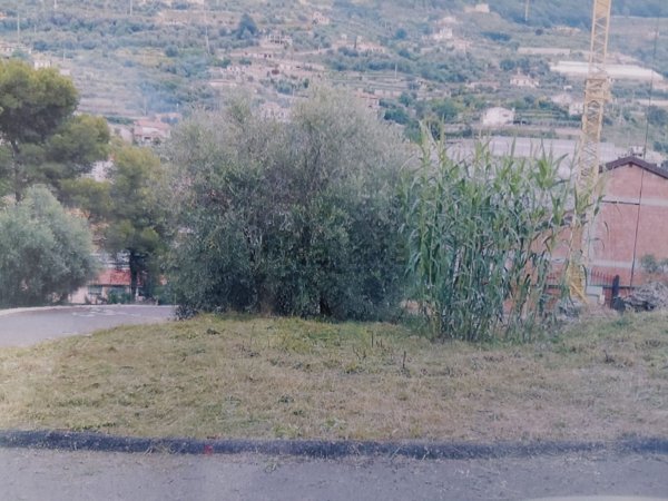 terreno in vendita a San Biagio della Cima