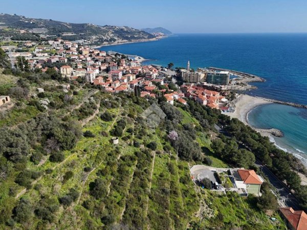 terreno agricolo in vendita a San Lorenzo al Mare