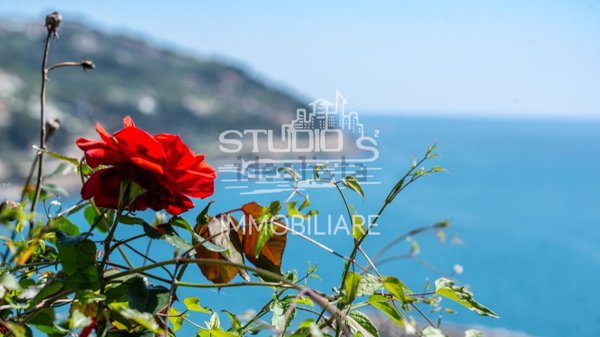 appartamento in vendita a San Lorenzo al Mare