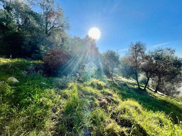 terreno agricolo in vendita a Sanremo