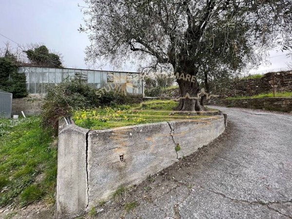 terreno agricolo in vendita a Sanremo in zona Poggio