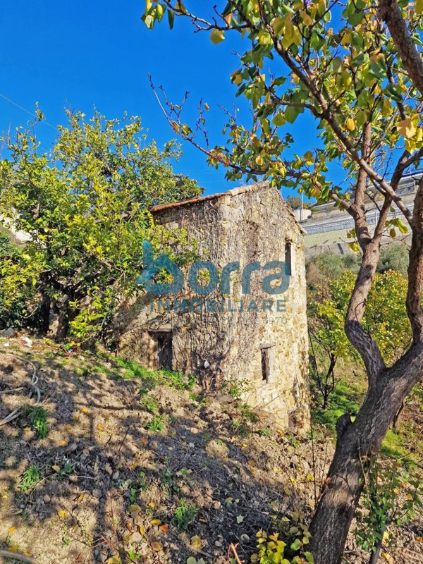 terreno agricolo in vendita a Sanremo in zona Poggio