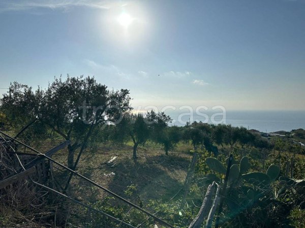 appartamento in vendita a Sanremo in zona Bussana
