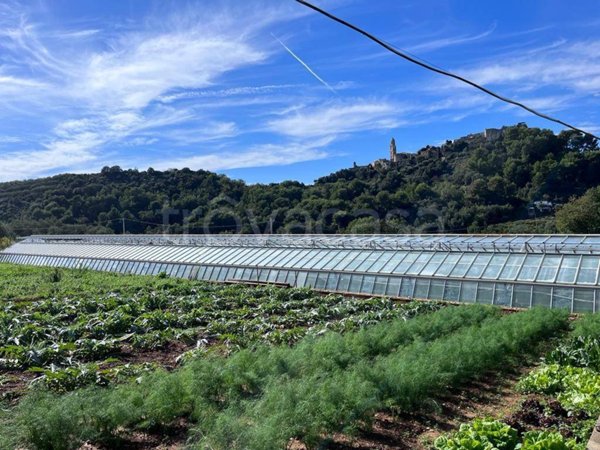 terreno agricolo in vendita a Sanremo in zona Bussana