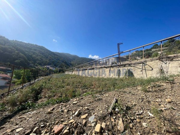 terreno agricolo in vendita a Sanremo