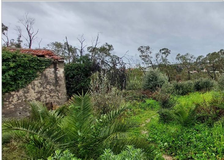 terreno agricolo in vendita a Sanremo
