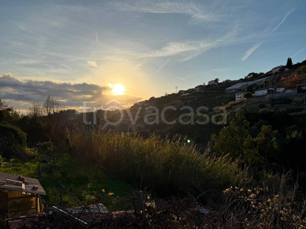 terreno agricolo in vendita a Sanremo in zona Poggio