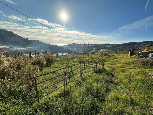 terreno agricolo in vendita a Sanremo in zona Bussana