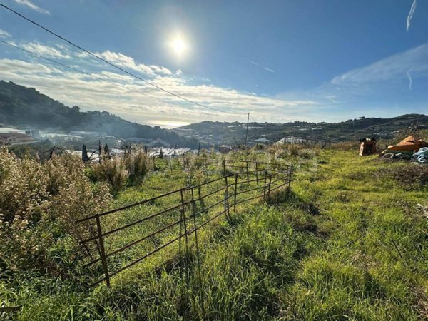 terreno agricolo in vendita a Sanremo in zona Bussana