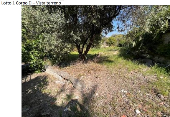 casa indipendente in vendita a Sanremo in zona Bussana