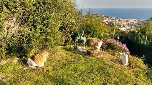 casa indipendente in vendita a Sanremo