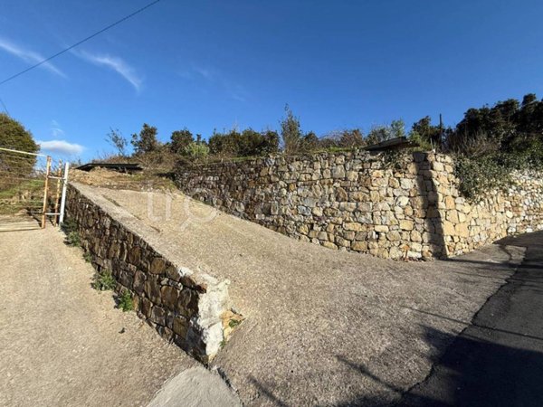 terreno agricolo in vendita a Sanremo in zona Poggio