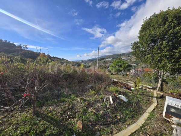 terreno agricolo in vendita a Sanremo in zona Poggio