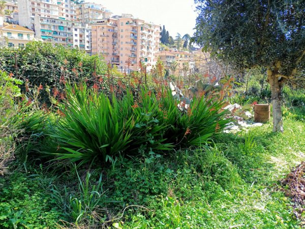 negozio in vendita a Sanremo