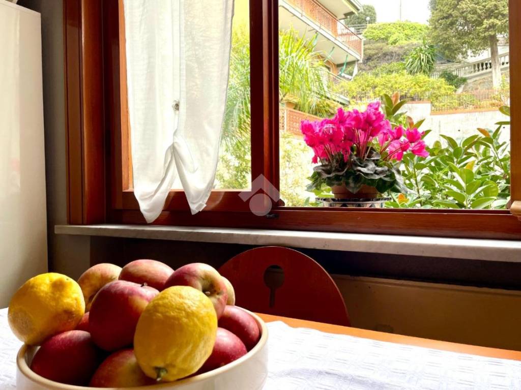appartamento in vendita a Sanremo