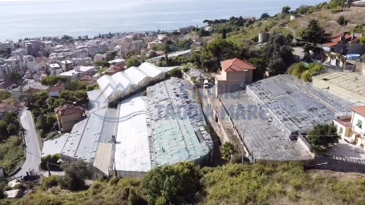 immagine annuncio 0 di 1