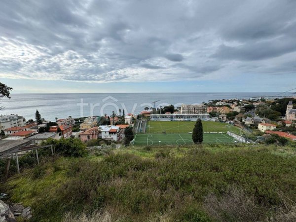 azienda agricola in vendita a Sanremo