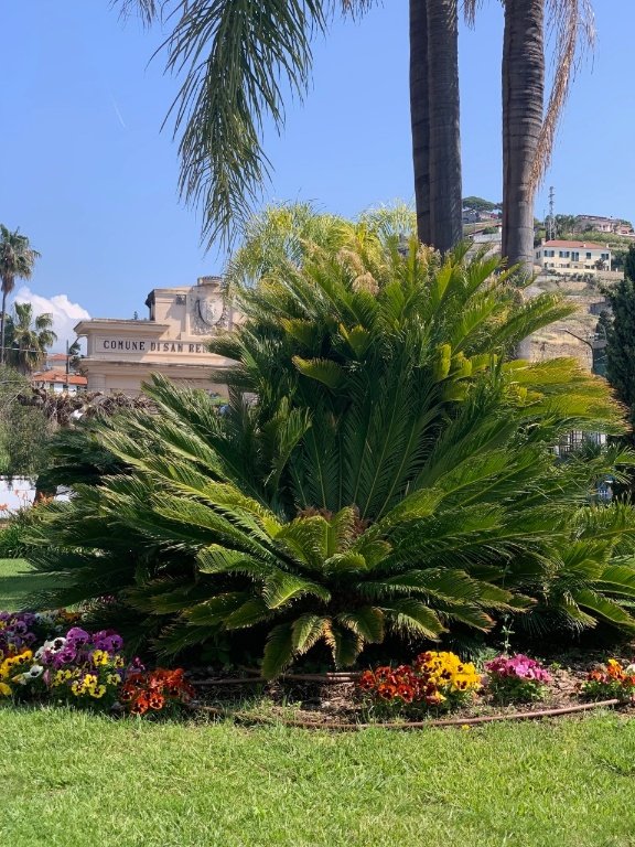 appartamento in vendita a Sanremo