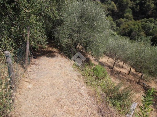 terreno agricolo in vendita a Sanremo in zona Bussana