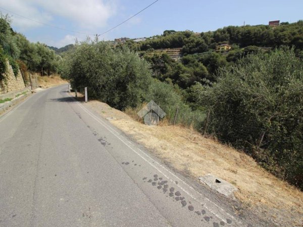terreno agricolo in vendita a Sanremo in zona Bussana