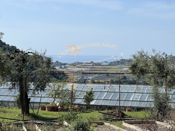 terreno edificabile in vendita a Sanremo in zona Bussana