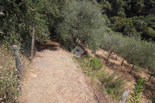 terreno agricolo in vendita a Sanremo in zona Bussana
