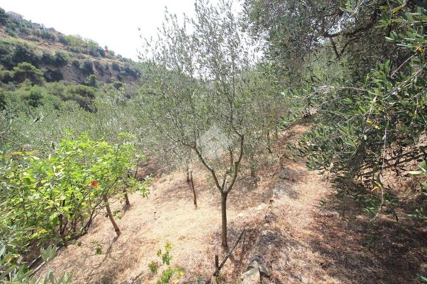 terreno agricolo in vendita a Sanremo in zona Bussana