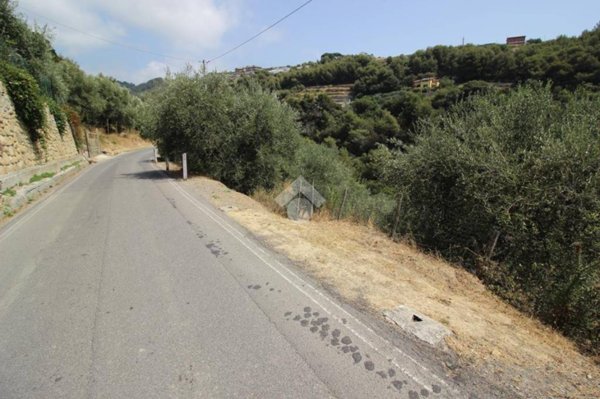 terreno agricolo in vendita a Sanremo in zona Bussana