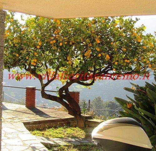 casa indipendente in vendita a Sanremo
