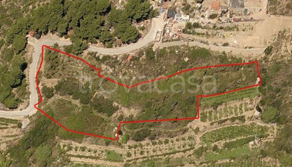 terreno agricolo in vendita a Sanremo in zona Poggio