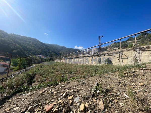 terreno agricolo in vendita a Sanremo
