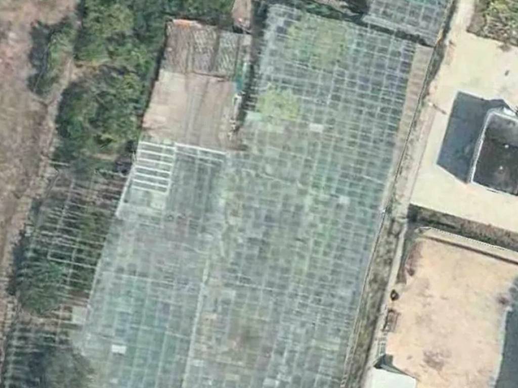 terreno agricolo in vendita a Sanremo