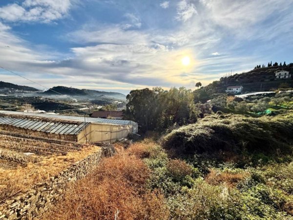 terreno agricolo in vendita a Sanremo in zona Poggio