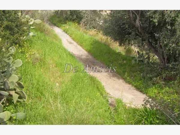 terreno agricolo in vendita a Sanremo in zona Bussana