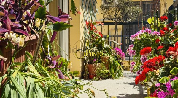 appartamento in vendita a Sanremo