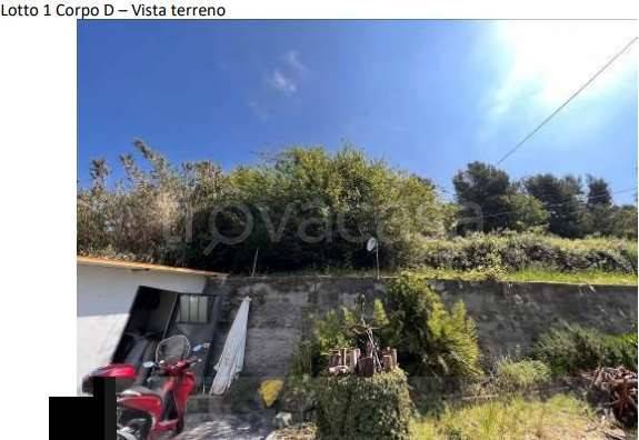 terreno agricolo in vendita a Sanremo in zona Bussana