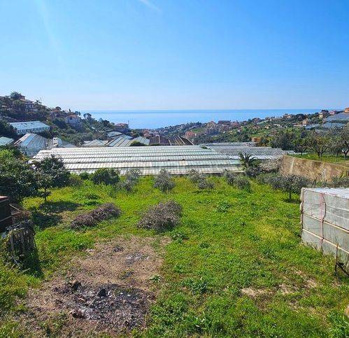 terreno agricolo in vendita a Sanremo