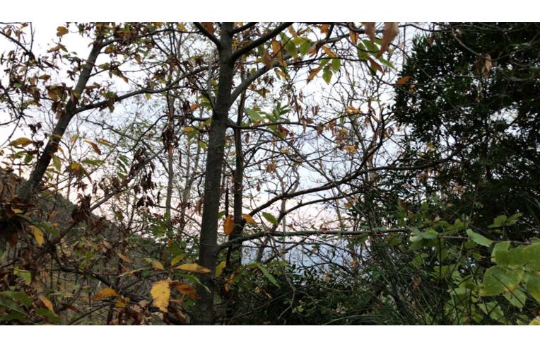 casa indipendente in vendita a Sanremo