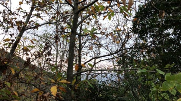 casa indipendente in vendita a Sanremo