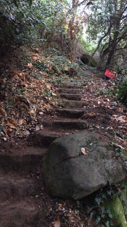 casa indipendente in vendita a Sanremo in zona San Romolo