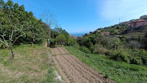 terreno agricolo in vendita a Sanremo