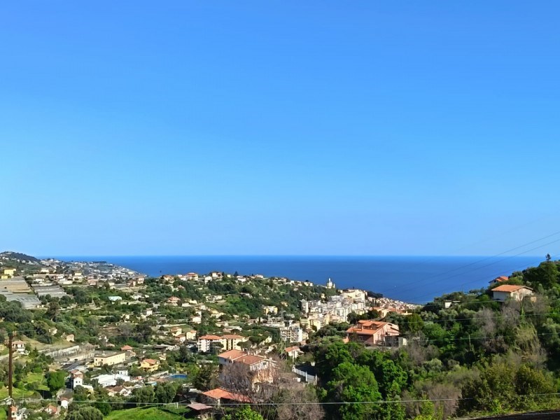 immagine annuncio 0 di 15