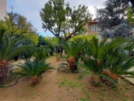 casa indipendente in vendita a Sanremo