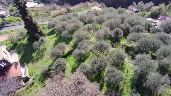 terreno agricolo in vendita a Sanremo