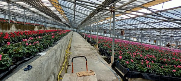 casa indipendente in vendita a Sanremo in zona Bussana